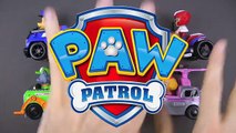 Paw Patrol en iyi öğrenen videolar oyuncak arabalar kamyon çocuklar bebekler bebekler