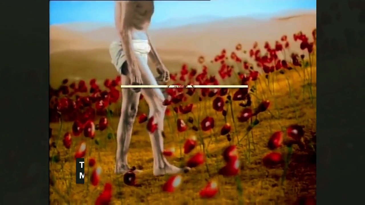 Nirvana's 'Heart-Shaped Box' Annotated Video