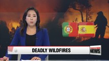 Portugal and Spain wildfires kill at least 39