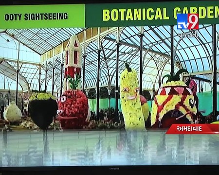 Diwali sparkle missing for tour operators , Ahmedabad - Tv9 Gujarati