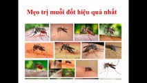 Cách đuổi muỗi, cách trị muỗi đốt đơn giản mà hiệu quả