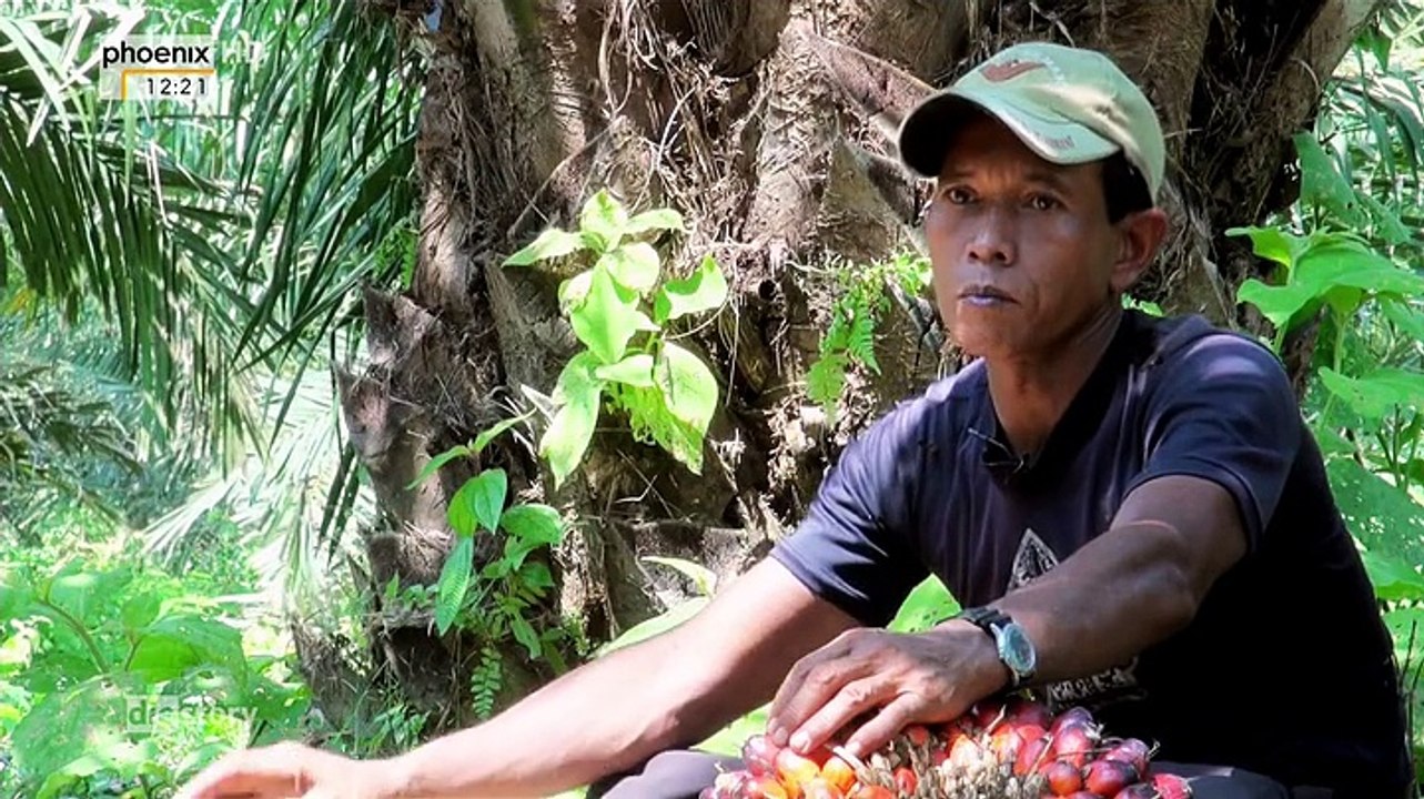 Wir tanken Regenwald - Die Lüge vom Öko-Diesel