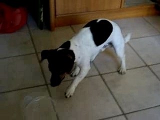 Informatique et Plastique : Innovations et Applications Modernes 💻🛠️