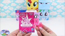 My Little Pony Surprise Cubeez Cubes Sunset Shimmer Twilight MLP Surprise Egg and Toy Collector SETC