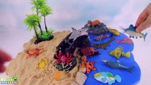 Learn Sea Animals Names For Children Kids Toy. Water Ocean Beach Sand! Dolphin,Shark,Lobster