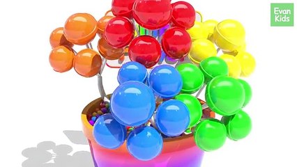 Learning Colors with Oreo Cookies for kids