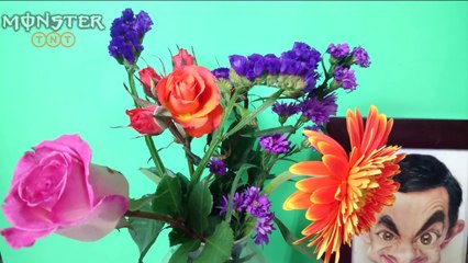 Eating BUNCH OF FLOWERS!!! Kluna Tik TNT Dinner #21_ ASMR eating sounds no talk-bWUtTRpPfzM