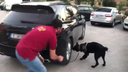 Bulgaristan'dan Yurda Giren Otomobilde 4 Buçuk Kilo Kokain Ele Geçirildi