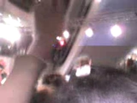 Ne-Yo - Can we Chill Live In Stockholm (PUB) Pt3 09.11.07