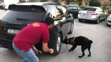 Edirne'de Lüks Cipe Uyuşturucu Operasyonu Kamerada