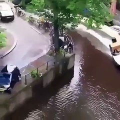 DAI MA CHE BASTARDO...