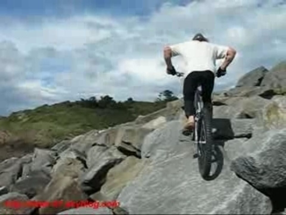 Trial