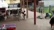 Disciplined Dogs- Dog Wait Patiently For Their Names to be Called
