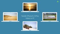 Transfer Videos from iPhone 8 / 8 Plus to PC