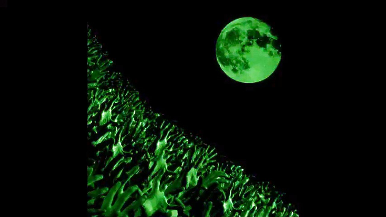 Muse - Thoughts of a Dying Atheist, Lyon Halle Tony Garnier, 11/10/2003