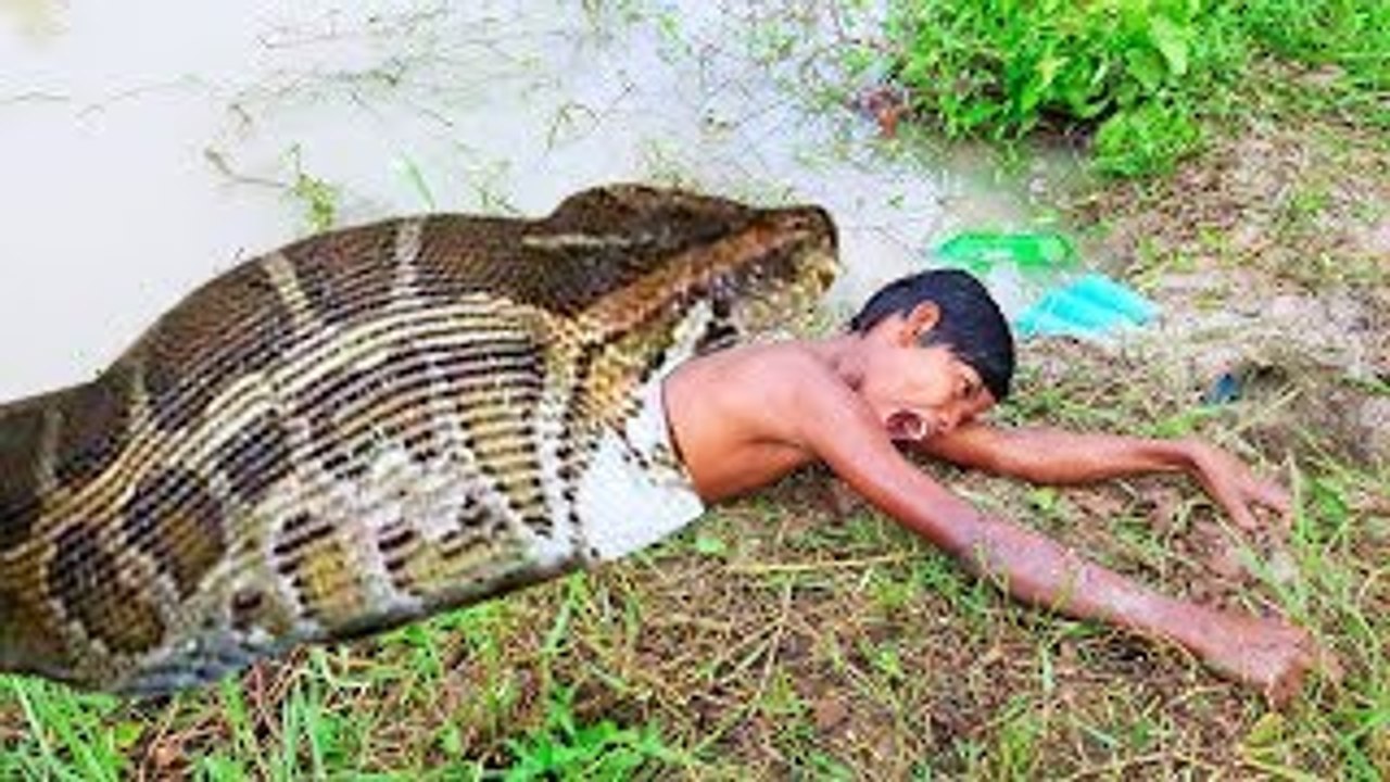 Amazing DeepHole Catch A Lot Of Snakes (Primitive Snake Trap)