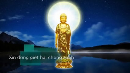 XIN HÃY ĂN CHAY VÌ LÒNG TỪ BI VÀ THƯƠNG XÓT LOÀI VẬT