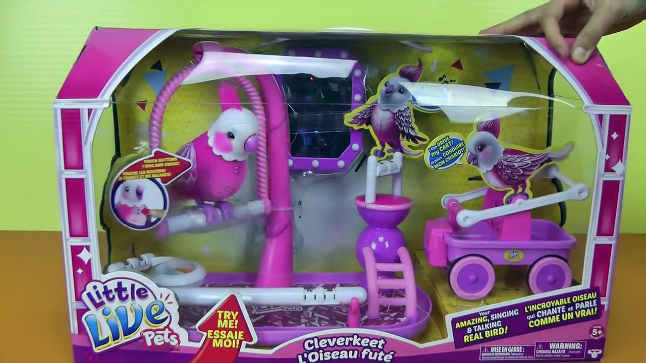 Cute Parrot - Little Live Pets - Cleverkeet - Bird is Playing, Talking, Moving , & Making Sounds