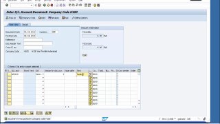 Overview of ERP in SAP FICO