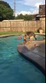Bimba finge di essere in difficoltà in piscina, il cane si tuffa e la salva