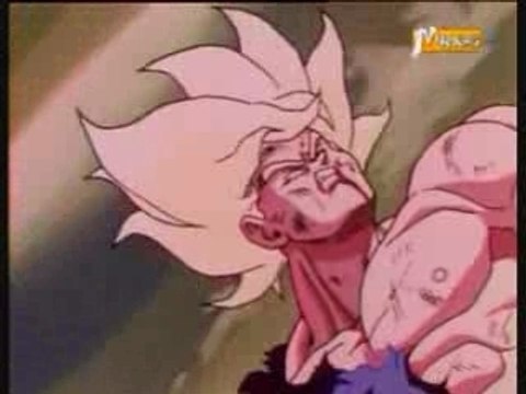 DBZ - Les supers guerriers