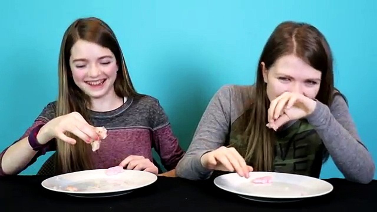 Gummy Food Vs Real Food Challenge / AllAroundAudrey