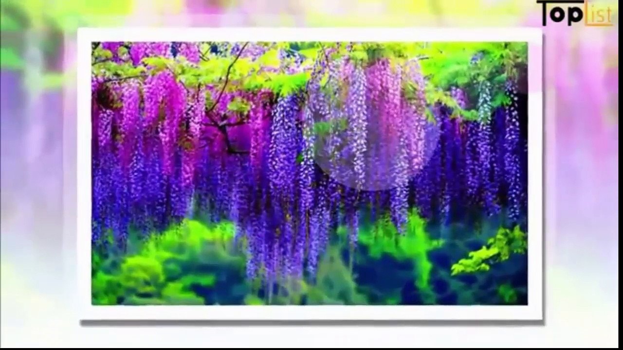 karaoke - tinh ngheo - song ca mp4