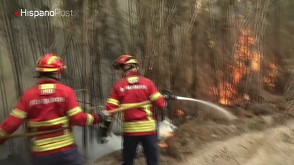Controlan incendios en centro y norte de Portugal