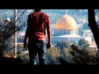 فلسطبن (سوف نبقى هنا )