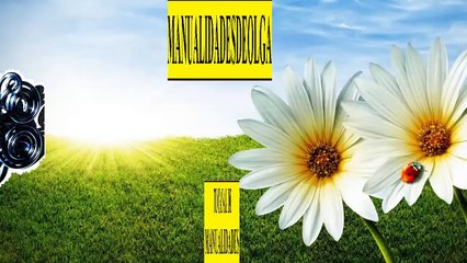 COMO HACER UNA PULSERA DE DOS COLORES AJUSTABLE CON NUDO SERPIENTE ADAPTABLE