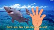 Shark VS Play Doh Ice Cream Finger Family Nursery Rhymes - Finger Lolipop Monster Battle