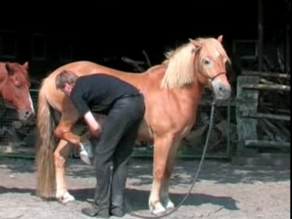 Vertrauenstraining