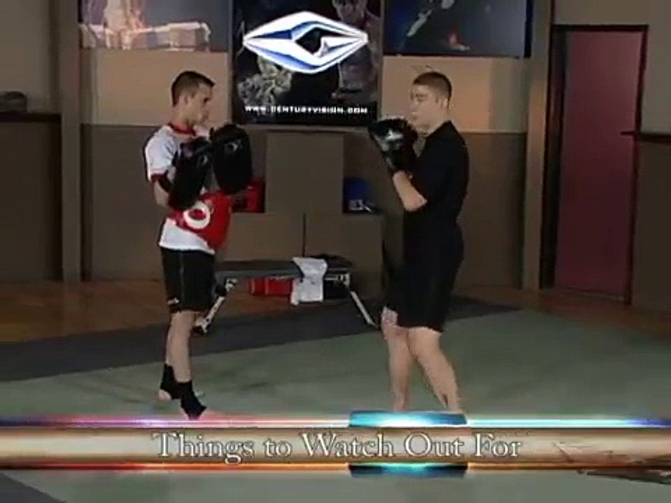 Duane Ludwig - Vol. 2 Stretching & Basic Kicks
