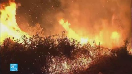 عشرات القتلى في حرائق في البرتغال وإسبانيا