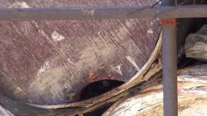 Bitlis Karakovan Balı Dünya 3'ncüsü Oldu