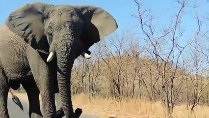 Advertisements Vs Reality 2