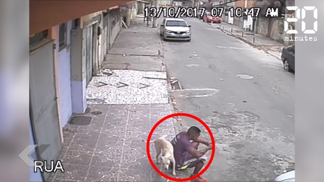 Il se fait uriner dessus par un chien - Le Rewind du mercredi 17 octobre 2017