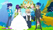 My Little Pony MLP Equestria Girls Transforms with Animation Exciting Wedding Love Story