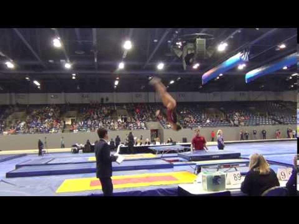 Megan Hiuko - Double-mini - Pass 1 - 2017 Winter Classic Finals