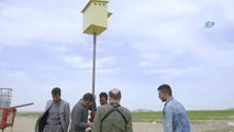 Konya Havzasında Tarım Zararlılarına Karşı Baykuş Desteği