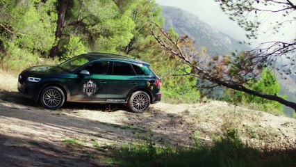 Audi SQ5 #Männersache Exterior Design
