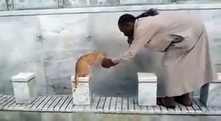 یہ بندہ مکہ میں ایک بلی کو پانی پلاتے ہووے  کوئی مسلمانو لائک کرے