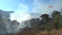 Antalya Kumluca'da Orman Yangını