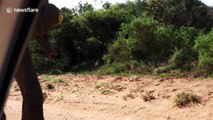 Elephant urinates in front of shocked tourists