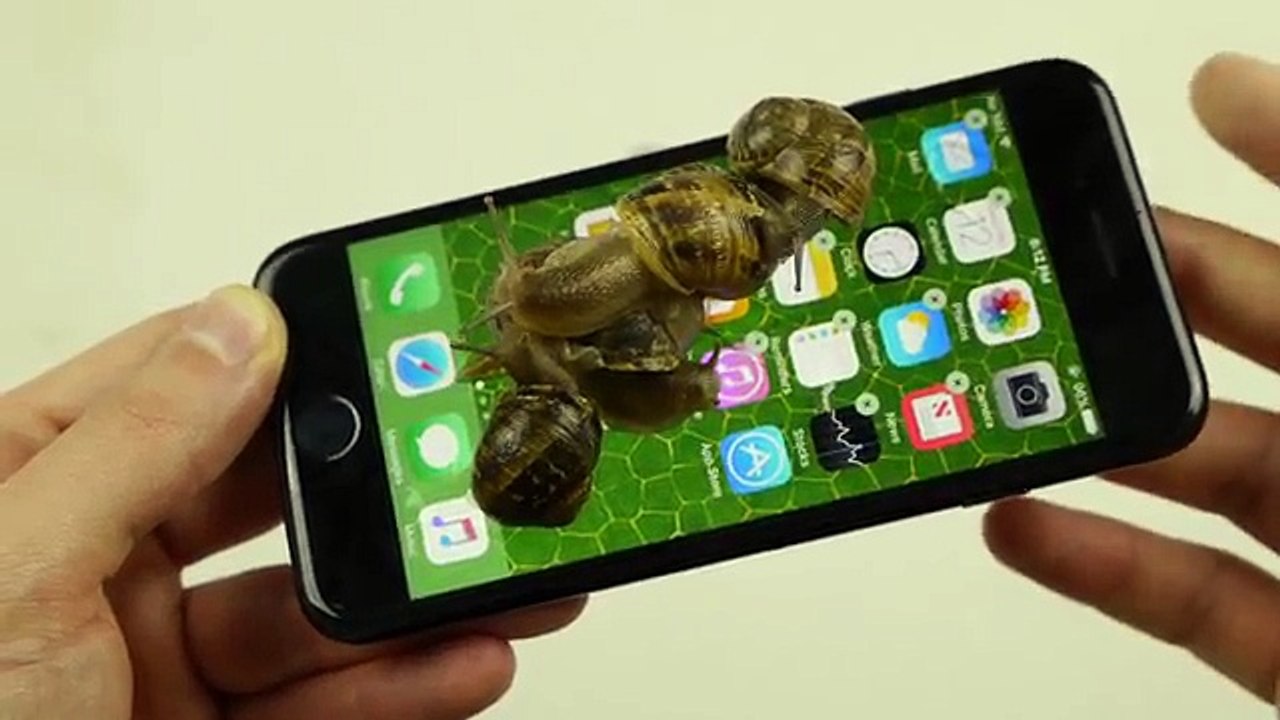 Odlučio je da na svoj iPhone 7 stavi PUŽEVE kako bi ga očistio, a onda je usledilo iznenađenje
