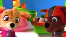 Paw Patrol Magical Color Change Vegetables and Fruit Learn Colors Names of Food | Fizzy Fun Toys