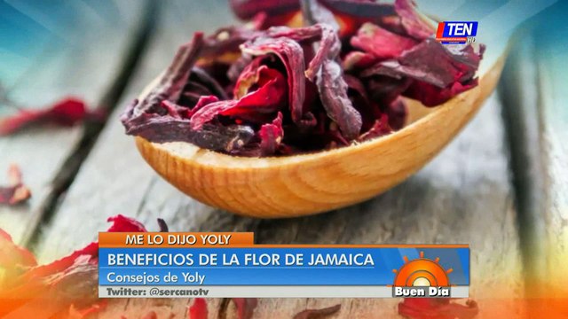 Beneficios de la flor de jamaica