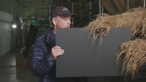 Ron Howard y Chewbaca desvelan el nombre de la próxima película de 