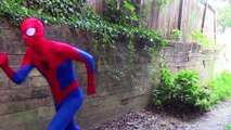 Spiderman & Elsa babysit snow white baby! w/ Ariel mermaid, Catwoman, Joker funny video