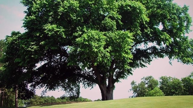 VS | Minerva McGonagall vs Lucius Malfoy